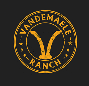 Design de Logo par Dan Voteroa pour ce projet | Design : #34446391