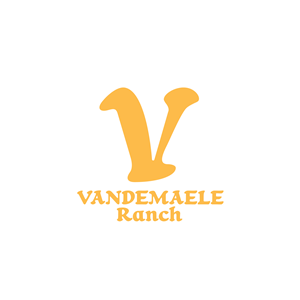 Diseño de Logo por stylelogo92 para este proyecto | Diseño: #34439183
