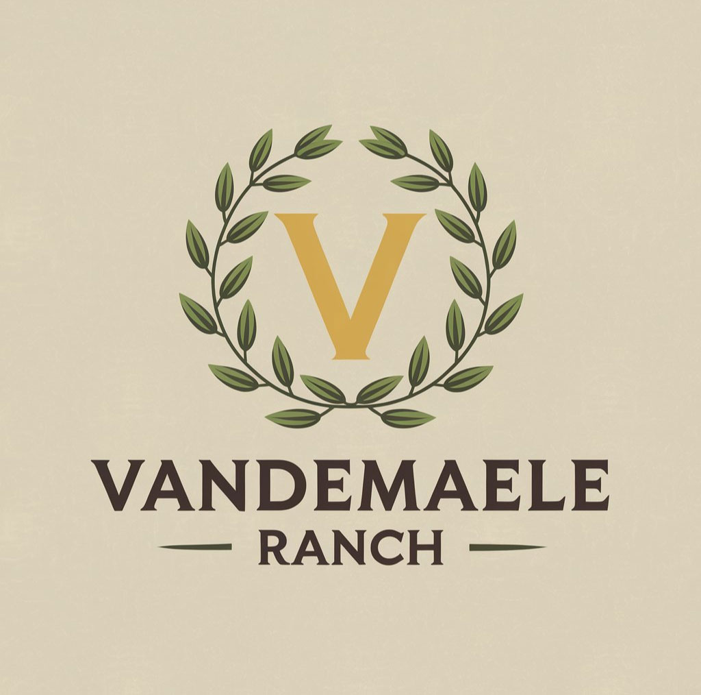 Logo Design by DesignVerse777 for this project | Design #34448452