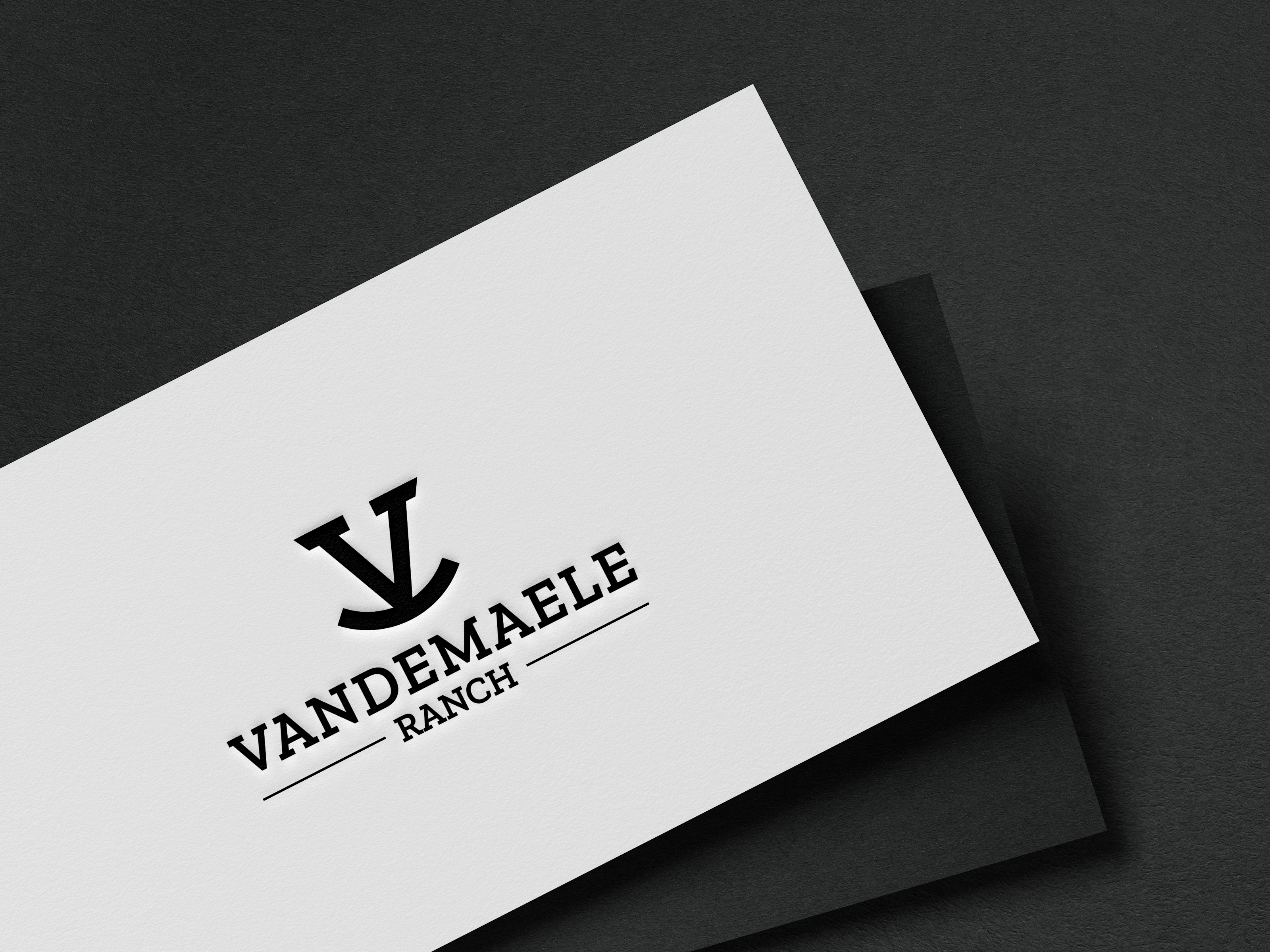 Logo Design by Innovative Graphix for this project | Design #34434827