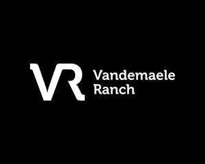 Logo Design by Zbiz