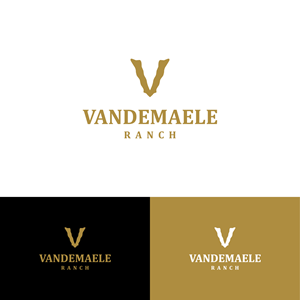 Diseño de Logo por Ryz Design para este proyecto | Diseño: #34472348