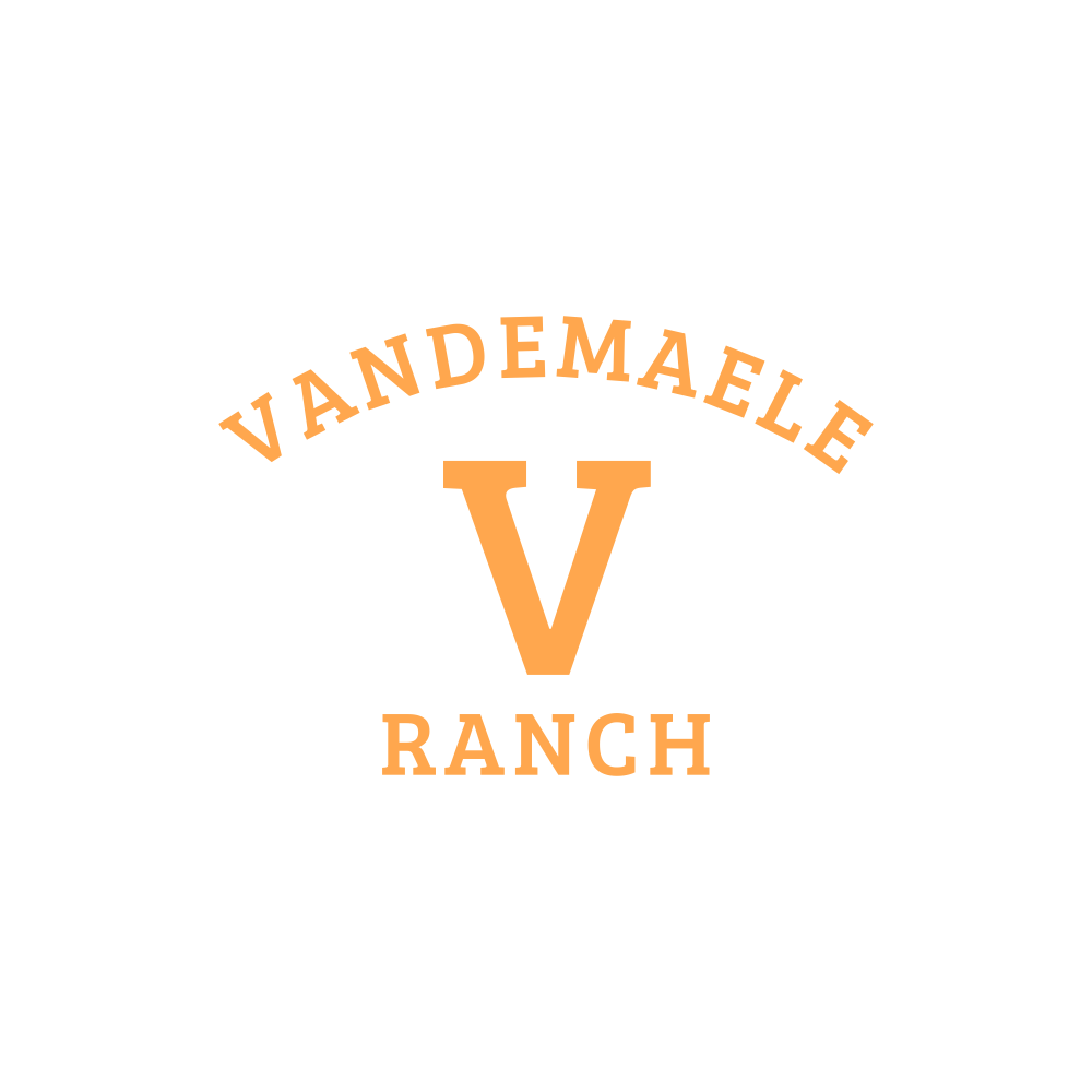 Logo Design by techlogi for this project | Design #34459595
