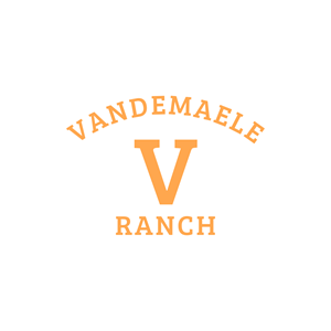 Logo Design by techlogi