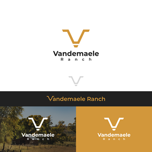 Logo Design by Boril Std