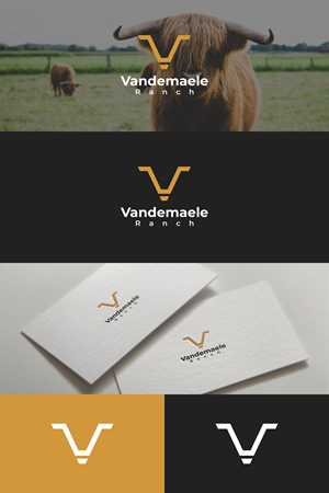 Design de Logo par Boril Std pour ce projet | Design : #34444716