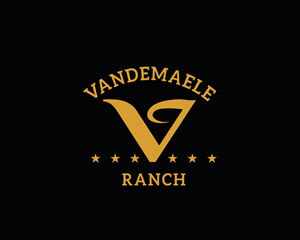 Logo Design by Beecomdesign