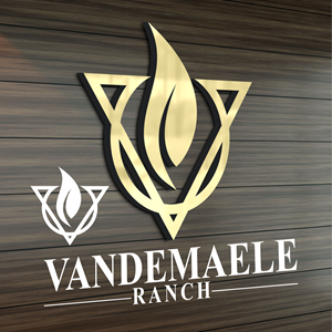 Diseño de Logo por M. A Tafheemi para este proyecto | Diseño: #34473930