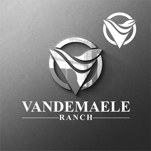 Diseño de Logo por M. A Tafheemi para este proyecto | Diseño: #34473931