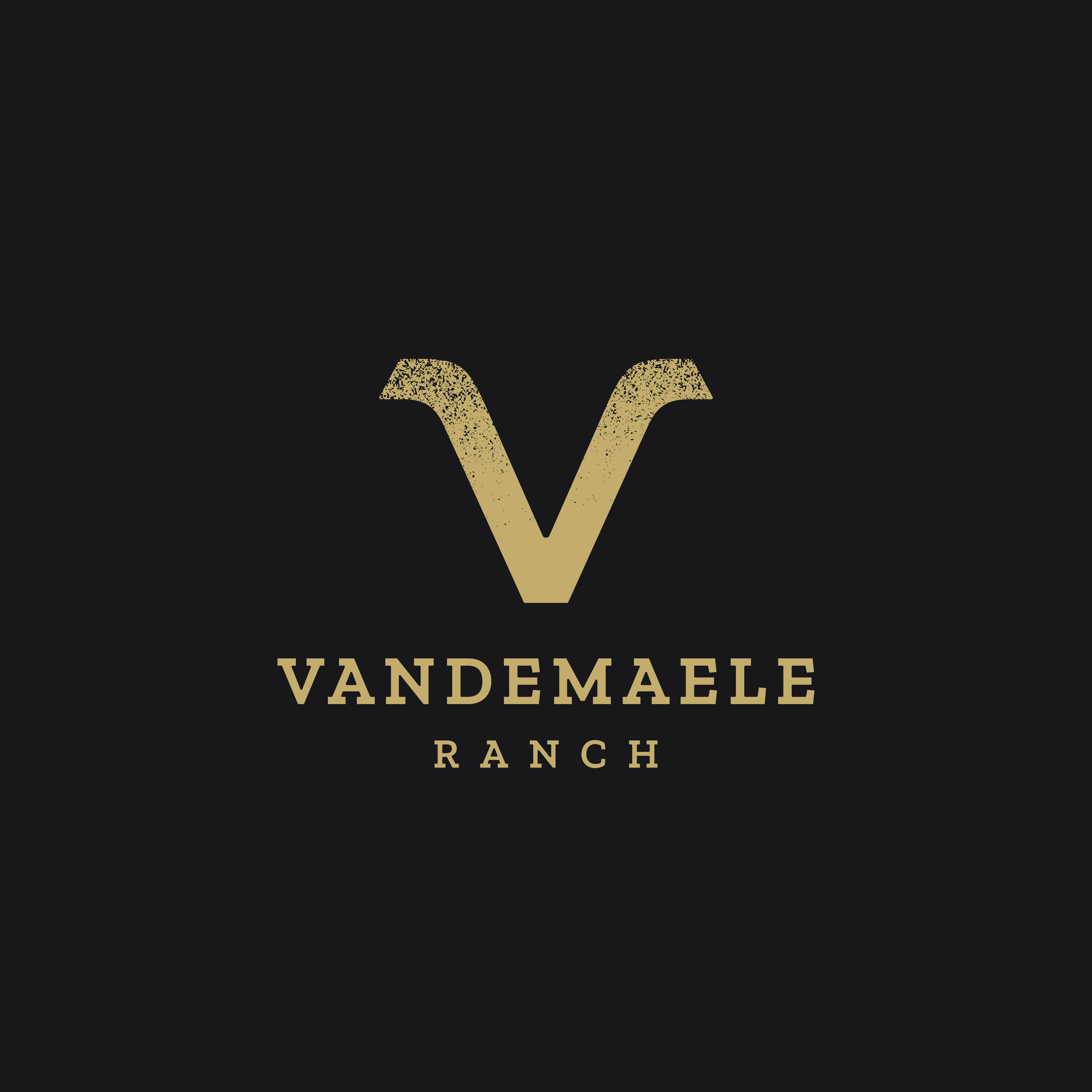 Diseño de Logo por CSARTWORK para este proyecto | Diseño #34461957