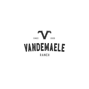 Logo Design by faruque.design