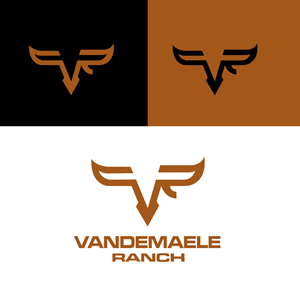 Diseño de Logo por eva8jr para este proyecto | Diseño: #34434383