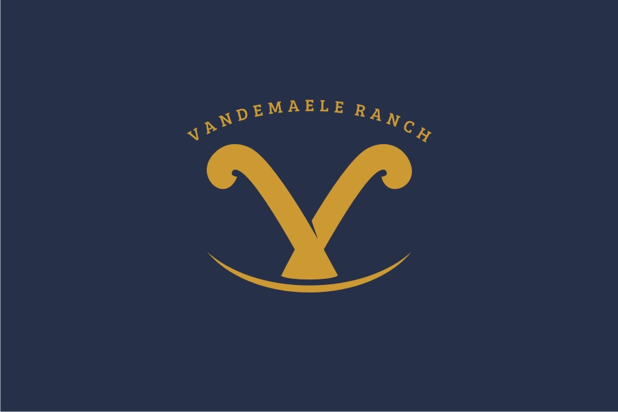 Diseño de Logo por iamrady para este proyecto | Diseño #34461293