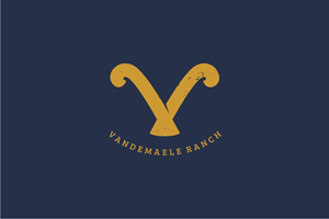 Diseño de Logo por iamrady para este proyecto | Diseño: #34461297