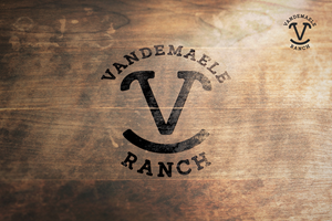 Diseño de Logo por aquabomb26 para este proyecto | Diseño: #34436815