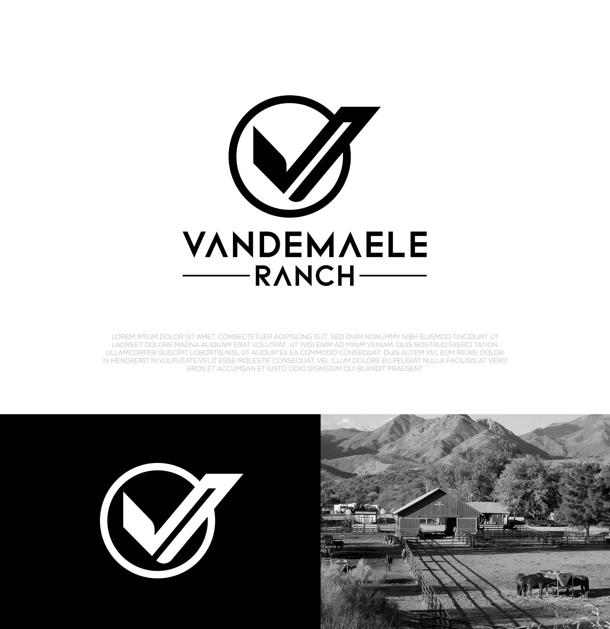 Diseño de Logo por aexoagency para este proyecto | Diseño #34434552