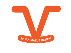 Logo Design by logomb