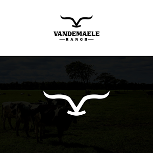 Logo Design by EnaGraph