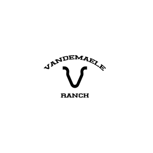 Diseño de Logo por dskyvbc para este proyecto | Diseño: #34436519