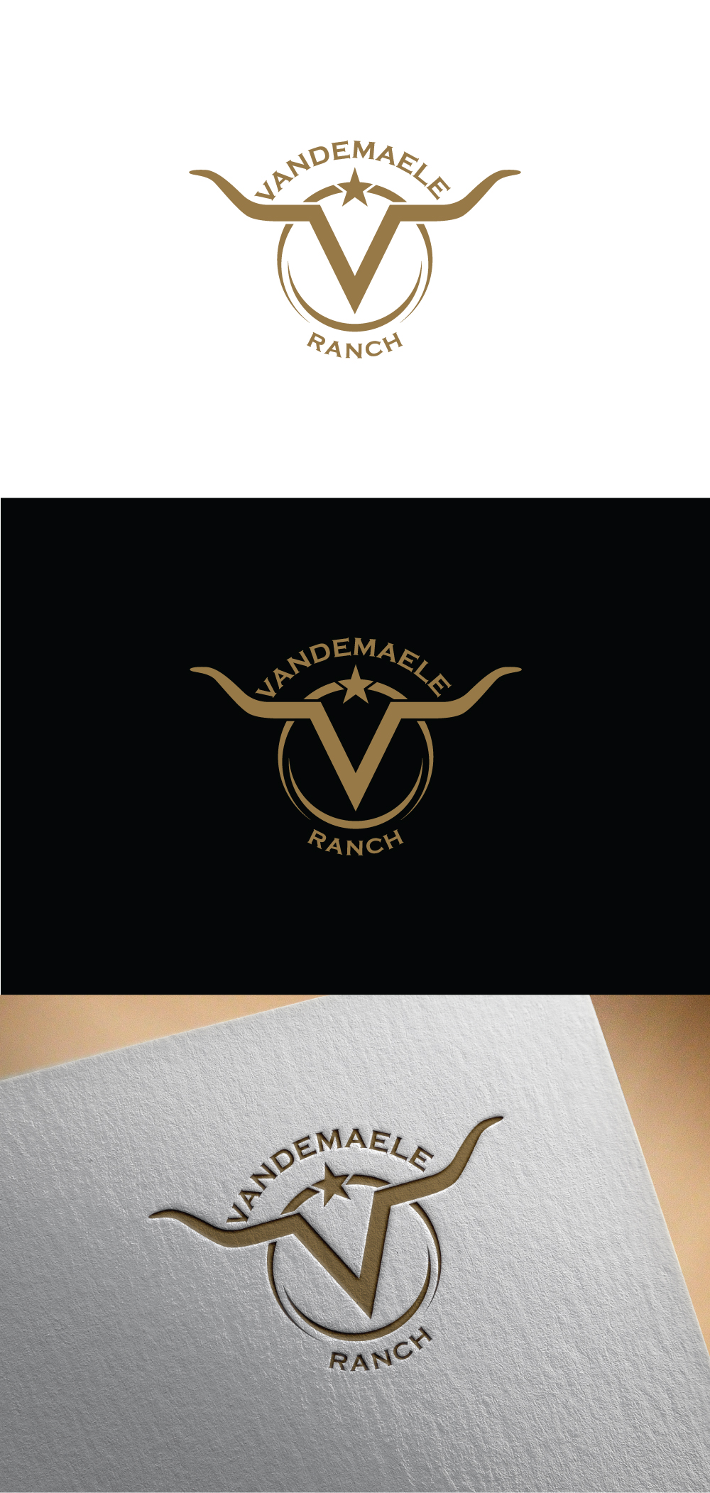 Logo Design by designA78 for this project | Design #34435397