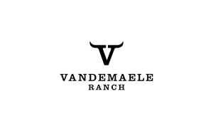 Diseño de Logo por RAN MEI JS para este proyecto | Diseño: #34438319