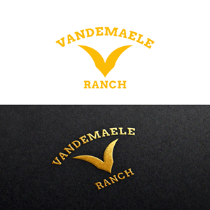 Logo Design by Ashraful 9