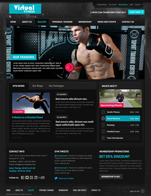 Web Design by Design Dude