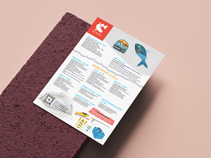 Flyer Design by ObabsDESIGN Studio for this project | Design: #34458300