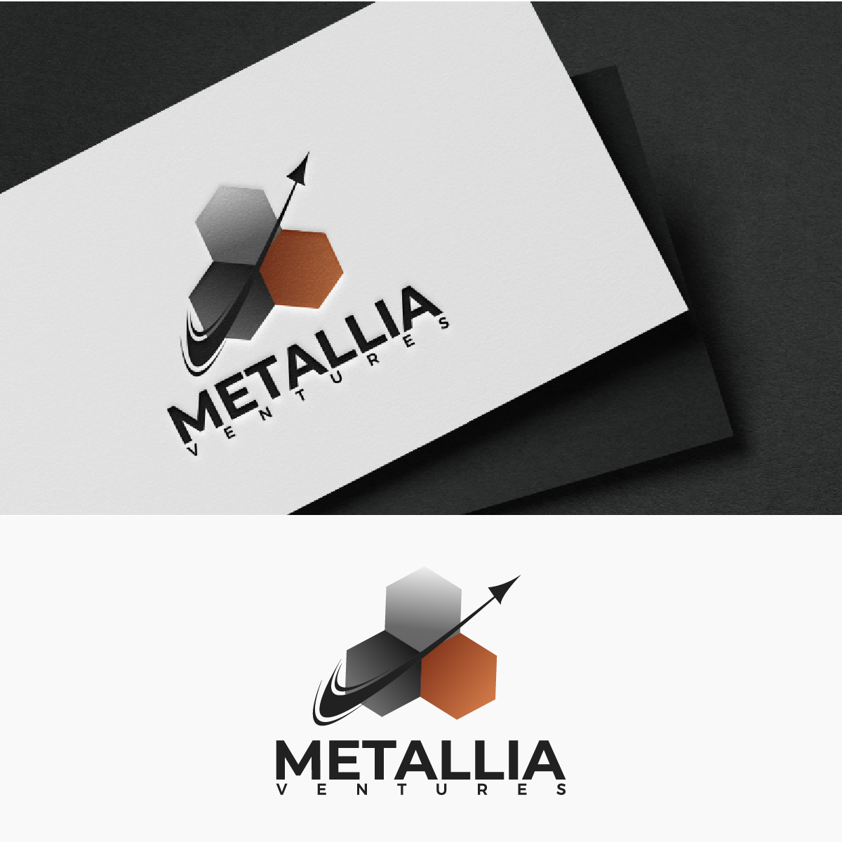 Logo Design by fly  design for this project | Design #34456535