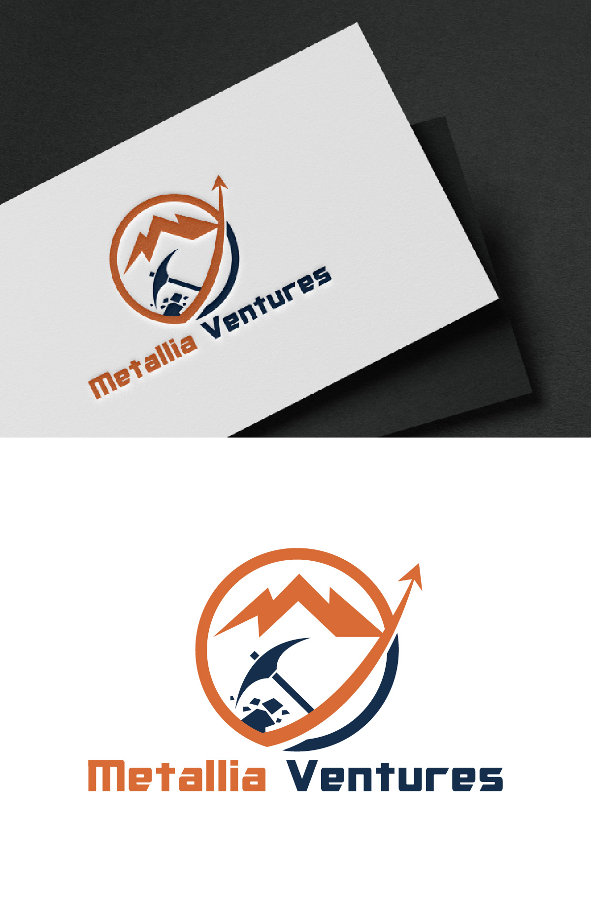 Logo Design by fly  design for this project | Design #34456539