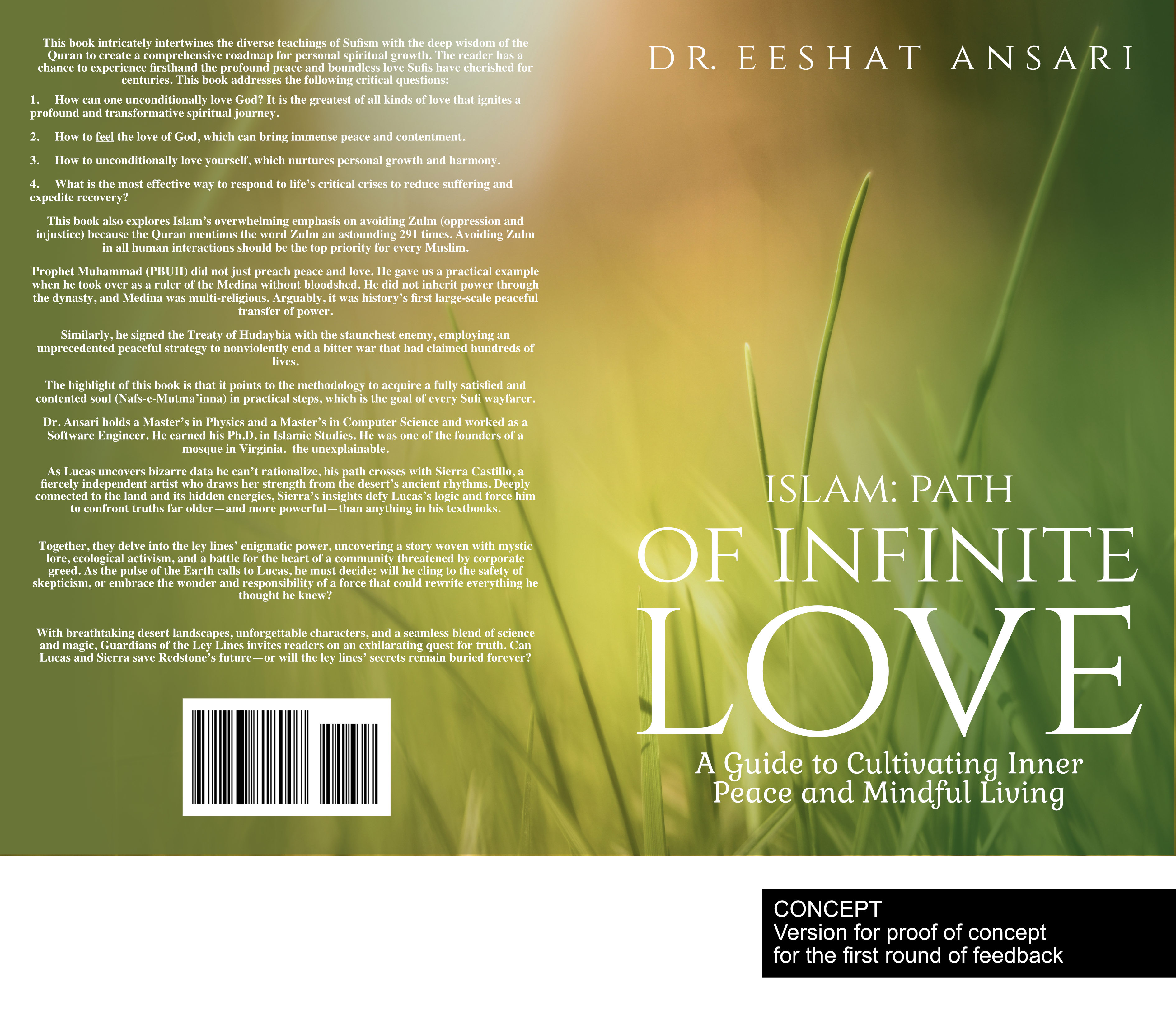 eBook Cover Design by AnninWonderland for this project | Design #34492498