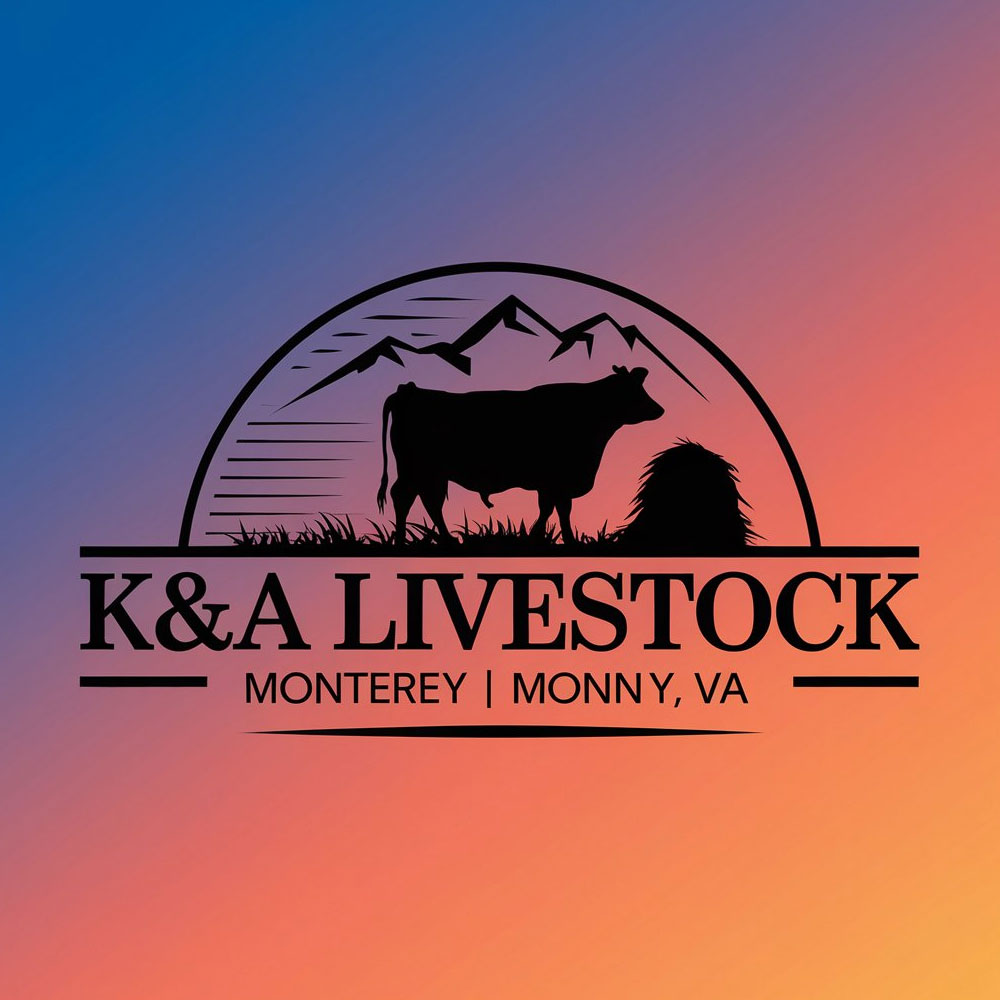 Logo-Design von KING JM für dieses Projekt | Design #34484069