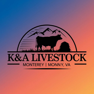 Logo-Design von KING JM für dieses Projekt | Design: #34484069