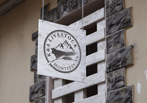 Logo Design by  Six Eleven Design