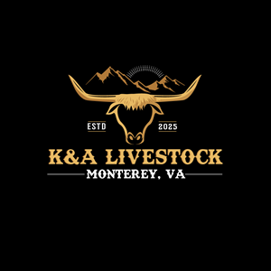 Logo Design by Krold IT Solutions for this project | Design: #34460568