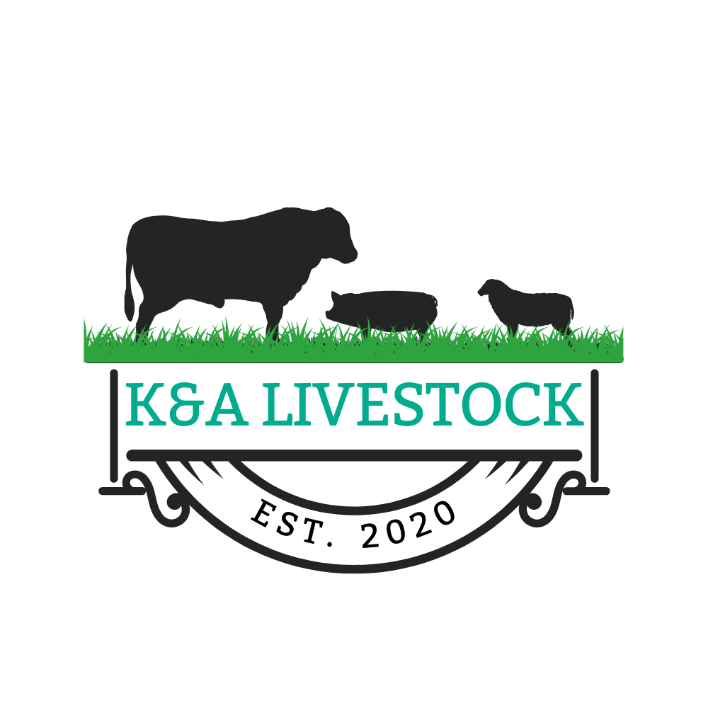 Diseño de Logo por James para este proyecto | Diseño #34463354