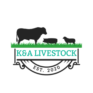 Logo-Design von James für dieses Projekt | Design: #34463354