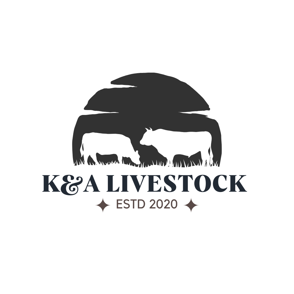 Logo-Design von James für dieses Projekt | Design #34463357