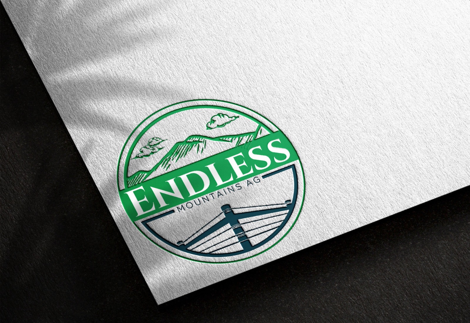 Logo Design by Design_Duo for this project | Design #34469695