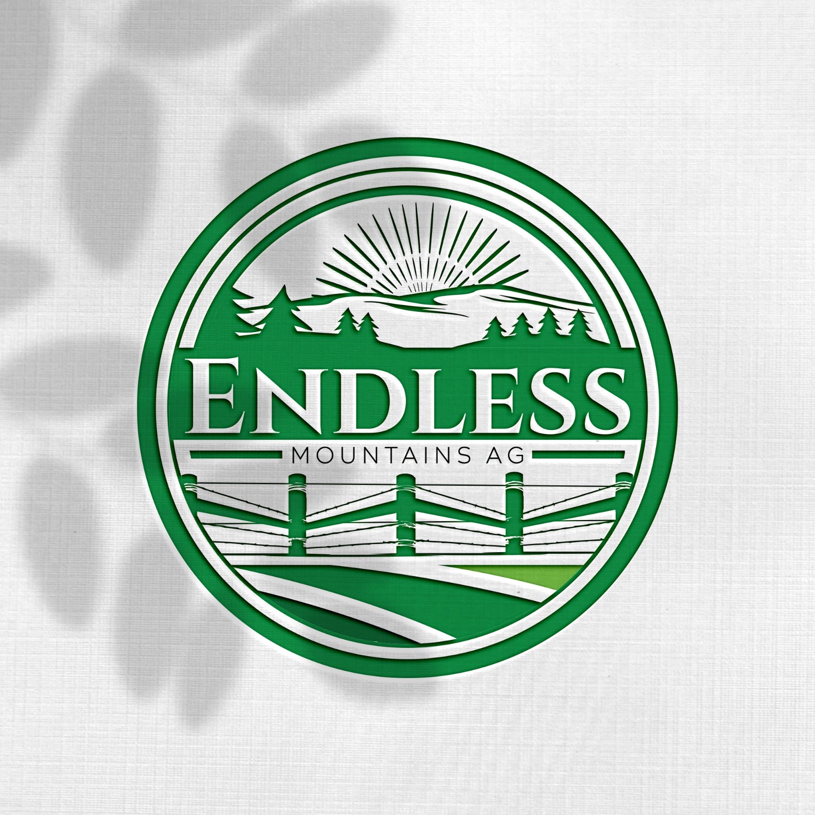 Logo Design by Design_Duo for this project | Design #34482218
