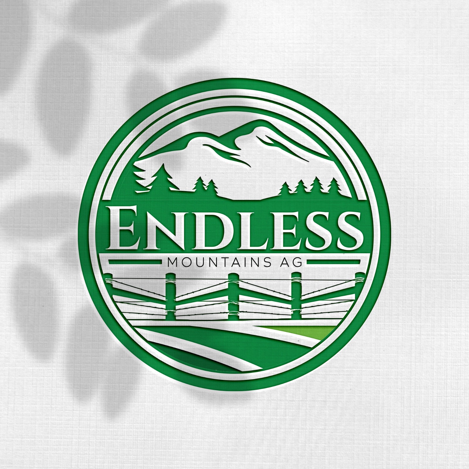 Design de Logo par Design_Duo pour ce projet | Design #34482220