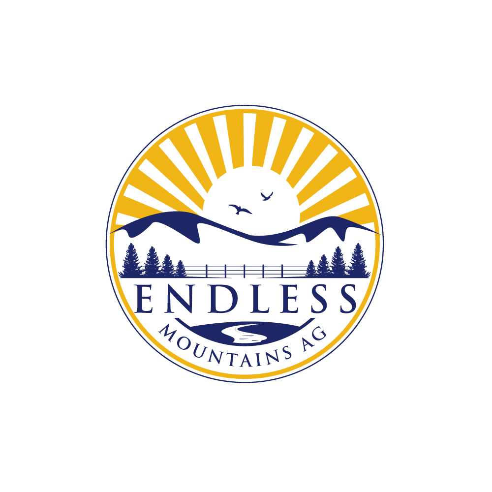 Logo Design by Krold IT Solutions for this project | Design #34460680