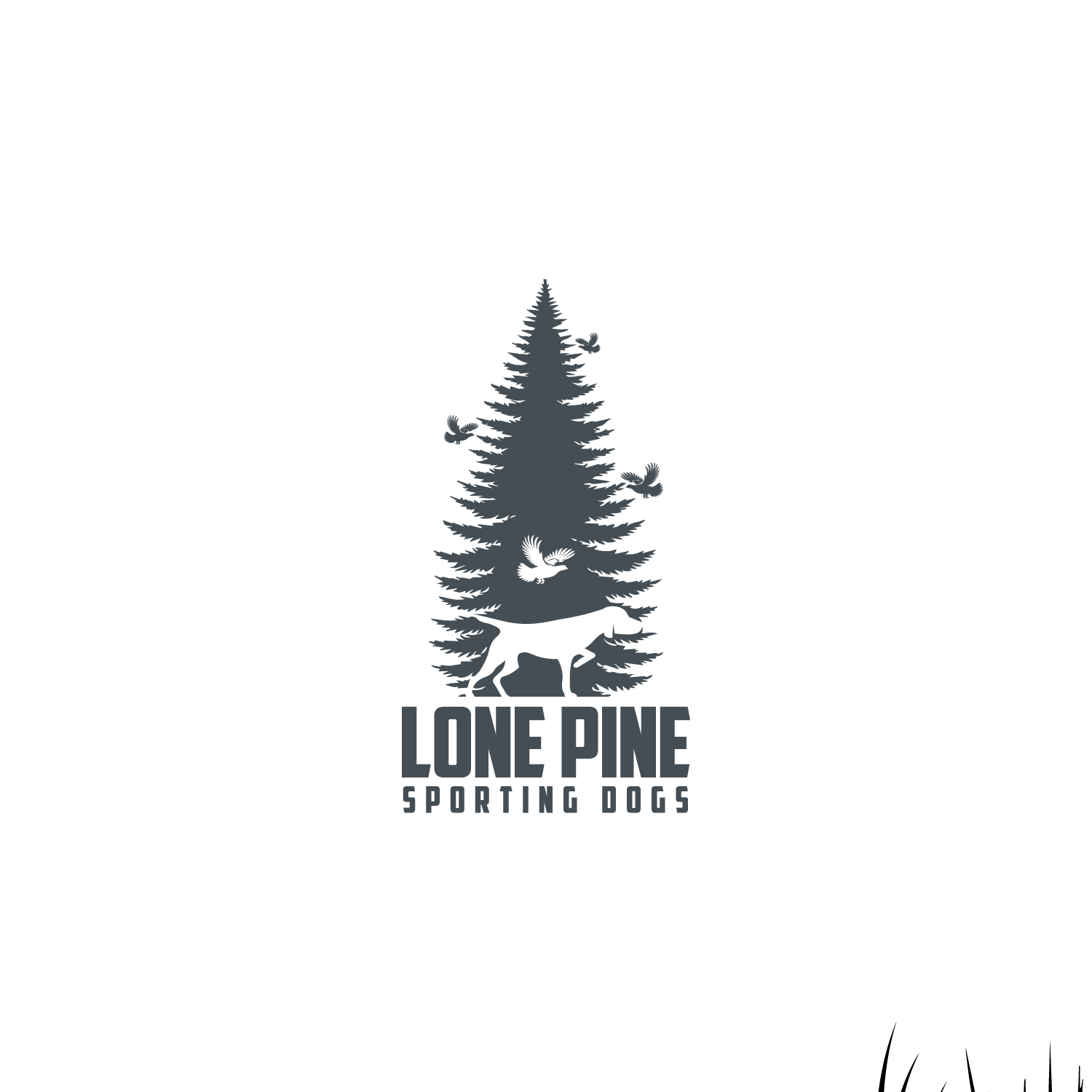 Logo Design by Andylicious for this project | Design #34464077