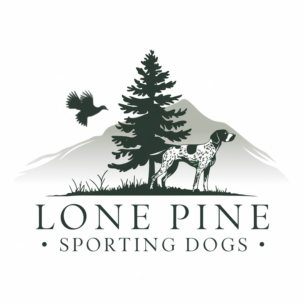 Logo Design by AMBStudio for this project | Design #34455616