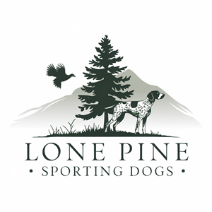 Design de Logo par AMBStudio pour ce projet | Design : #34455616