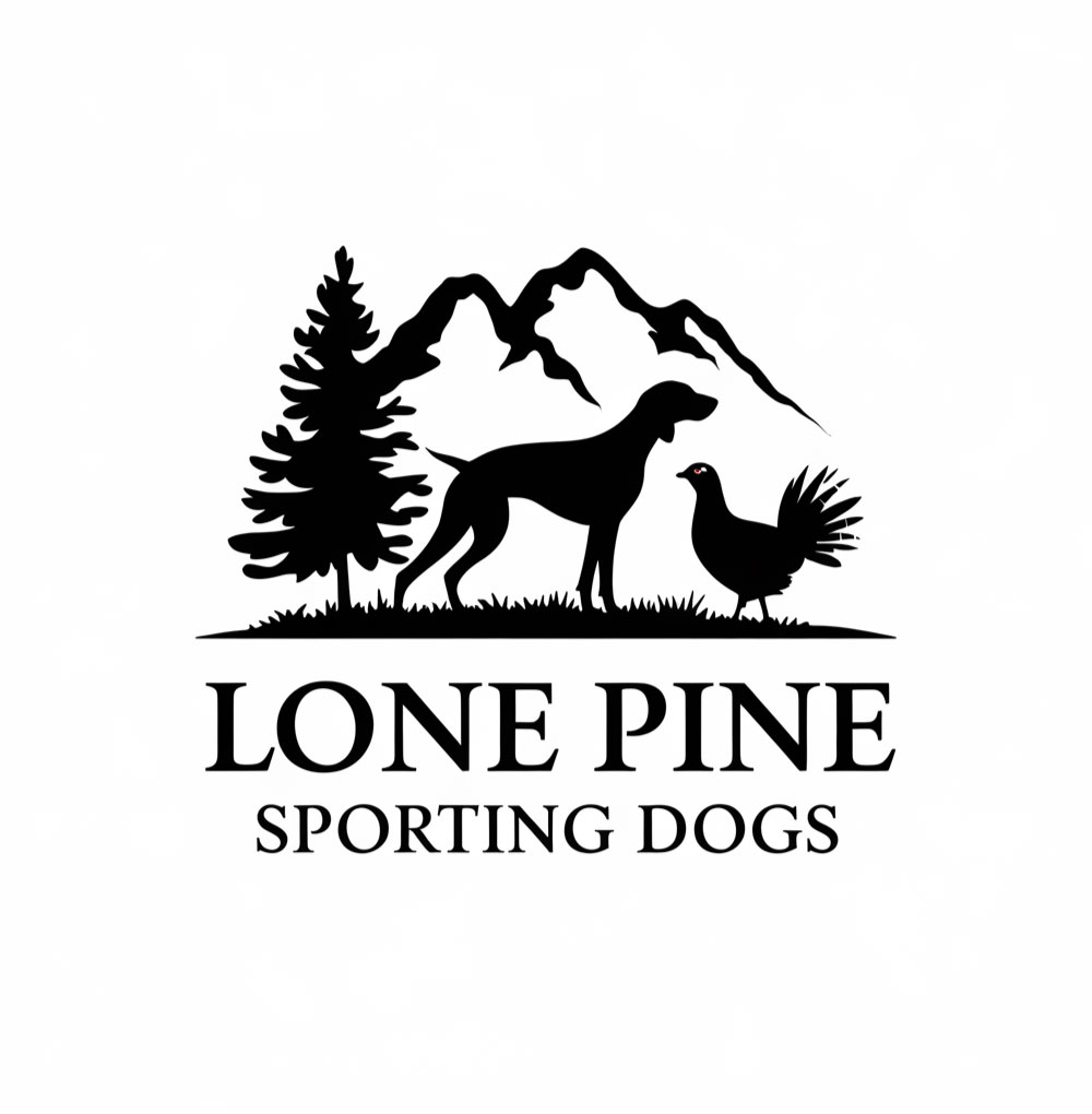 Logo Design by DesignVerse777 for this project | Design #34472356