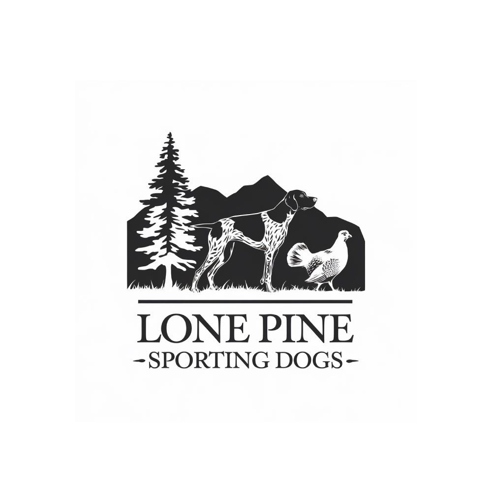 Logo Design by DesignVerse777 for this project | Design #34472359