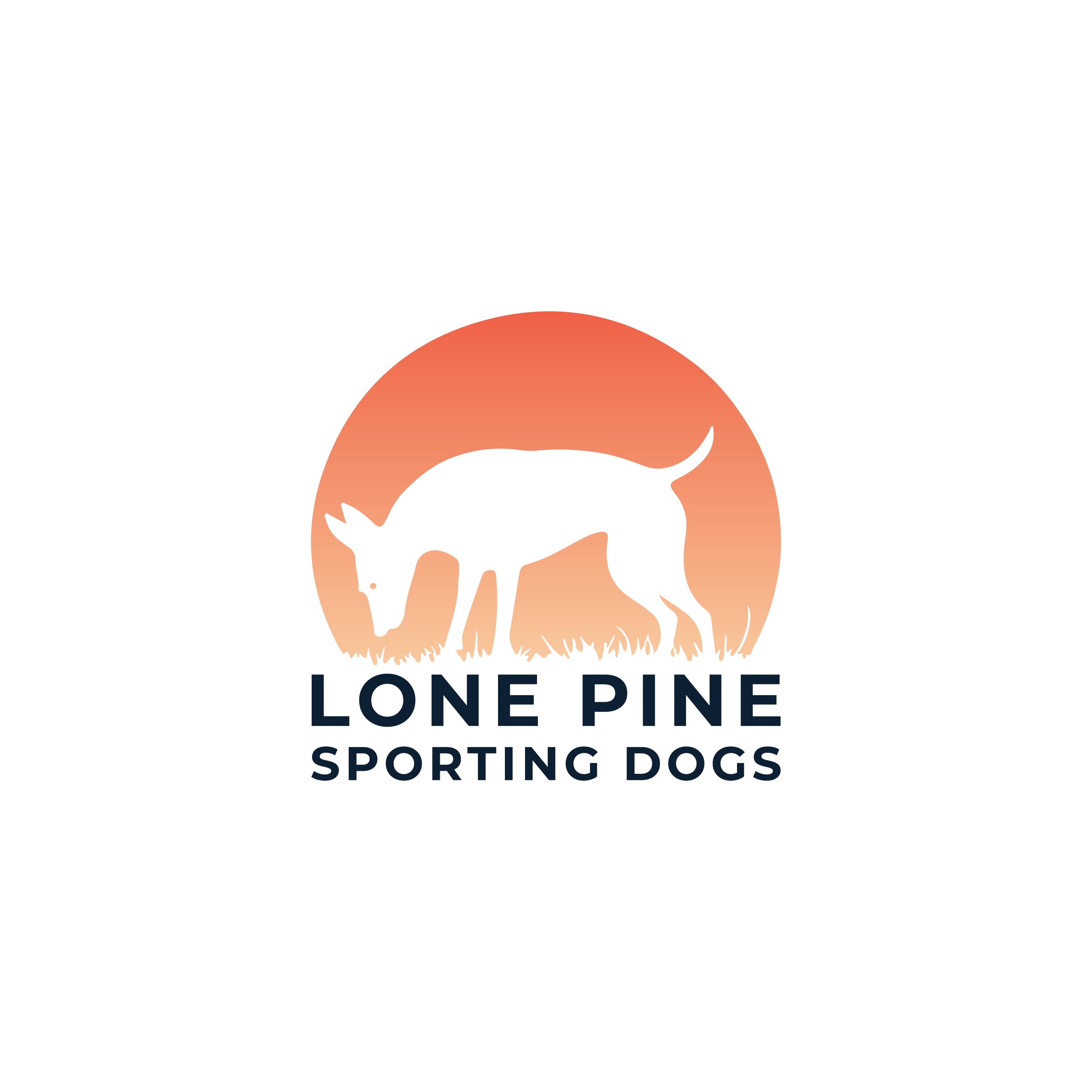 Logo Design by Ar_nisam_usman for this project | Design #34460383