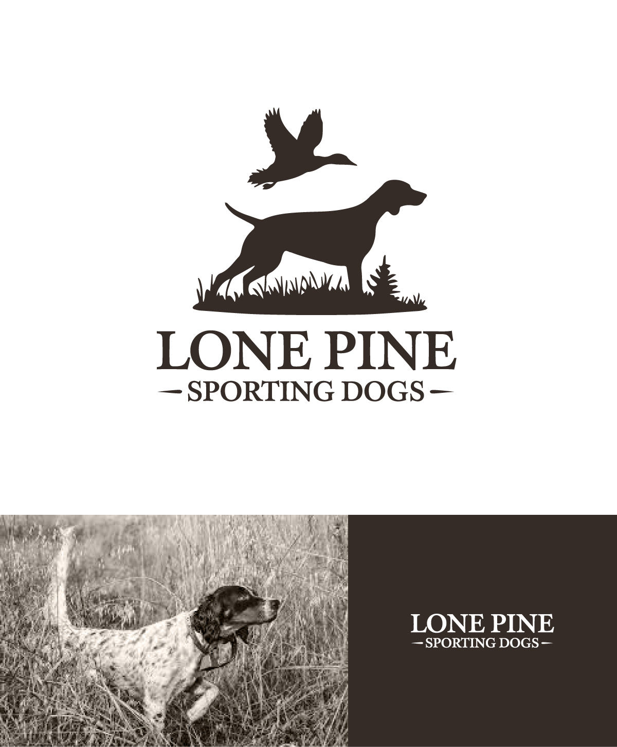 Logo-Design von apik. für dieses Projekt | Design #34456563