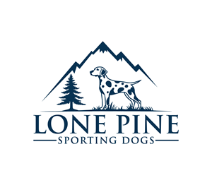 Logo Design by Nova_Create for this project | Design: #34462921